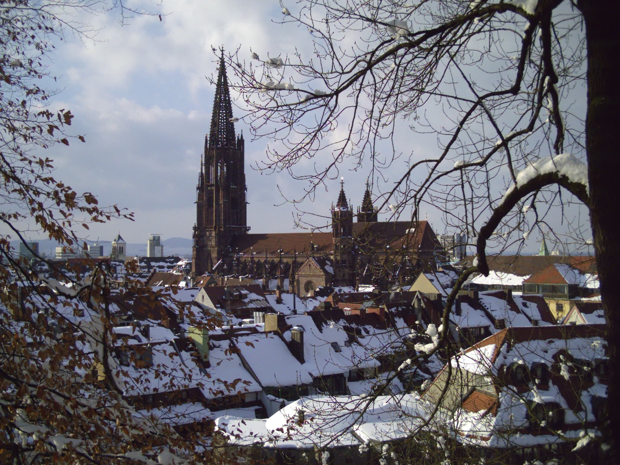 Blick über die Altstadt von Freiburg im Breisgau mit dem Münster